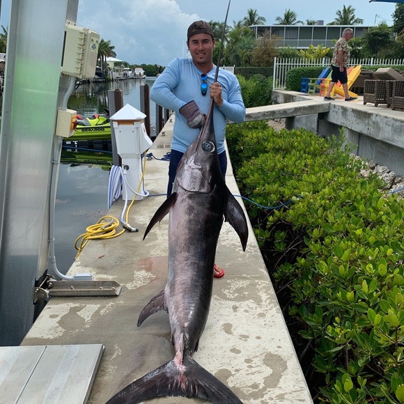 Meet your Posher, Joel - Picture 1 of 1